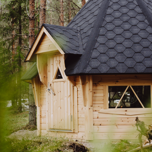 kota metsän keskellä