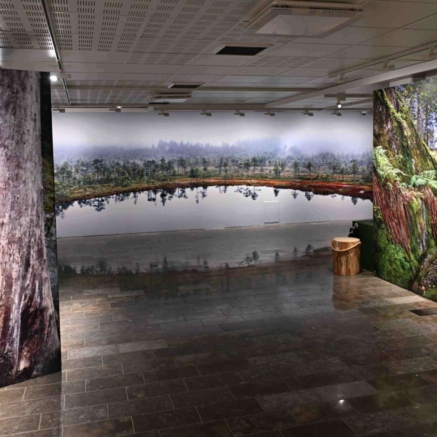 N&auml;yttelytila, jonka seinille on painettu suurikokoisia valokuvia suomalaisesta mets&auml;luonnosta. Vasemmalla n&auml;kyy vanhan puun runko ja juurakko, oikealla sammalpeitteist&auml; mets&auml;&auml; ja keskell&auml; usvainen n&auml;kym&auml; suolammen yli mets&auml;nreunaan. Lattia on kivilaatoitettu ja tilassa on puinen jakkara.