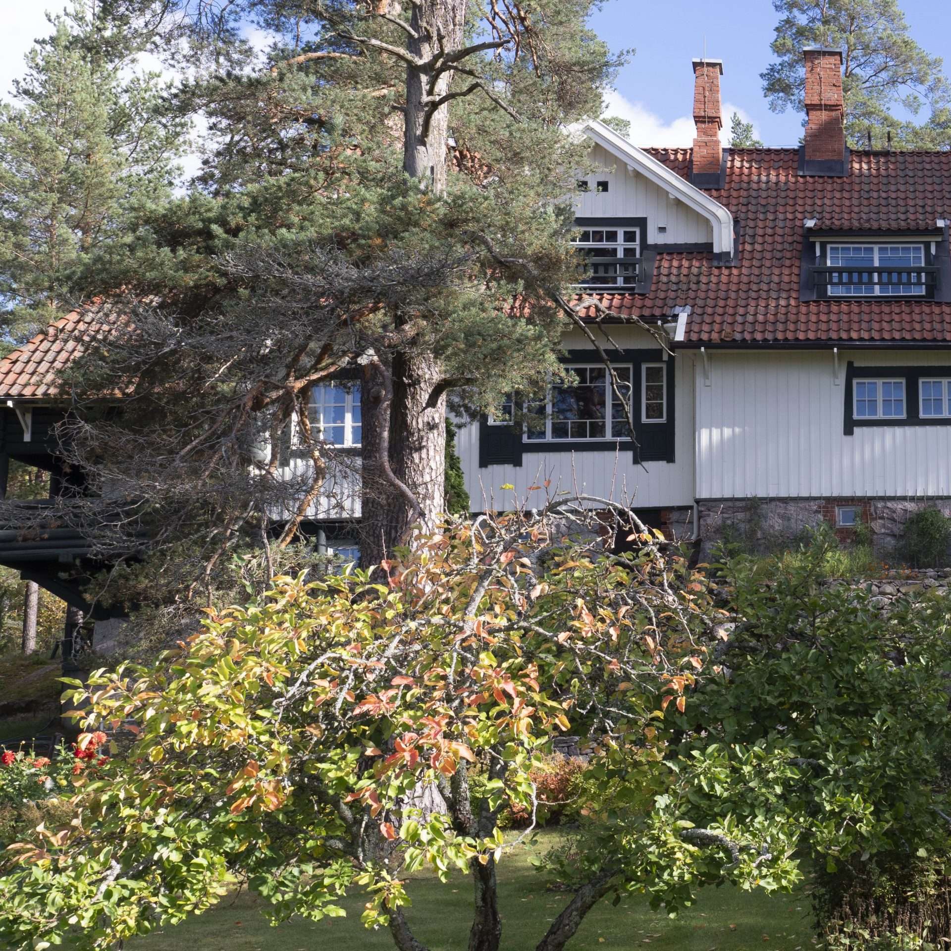 Ainolan vaalea puuhuvila punatiilikattoineen mets&auml;n keskell&auml;. Pihalla puita ja pensaita, rakennuksessa useita ikkunoita ja savupiippuja.