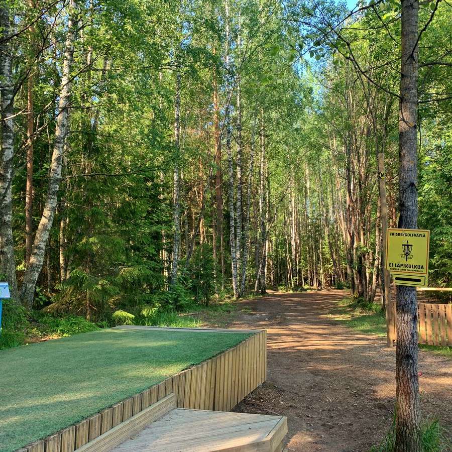Mets&auml;inen frisbeegolfrata, jossa l&auml;ht&ouml;alusta ja opastekylttej&auml; polun varrella.