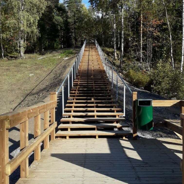 Pitk&auml;t ulkoportaat nousevat mets&auml;isess&auml; maastossa puiden keskell&auml;.